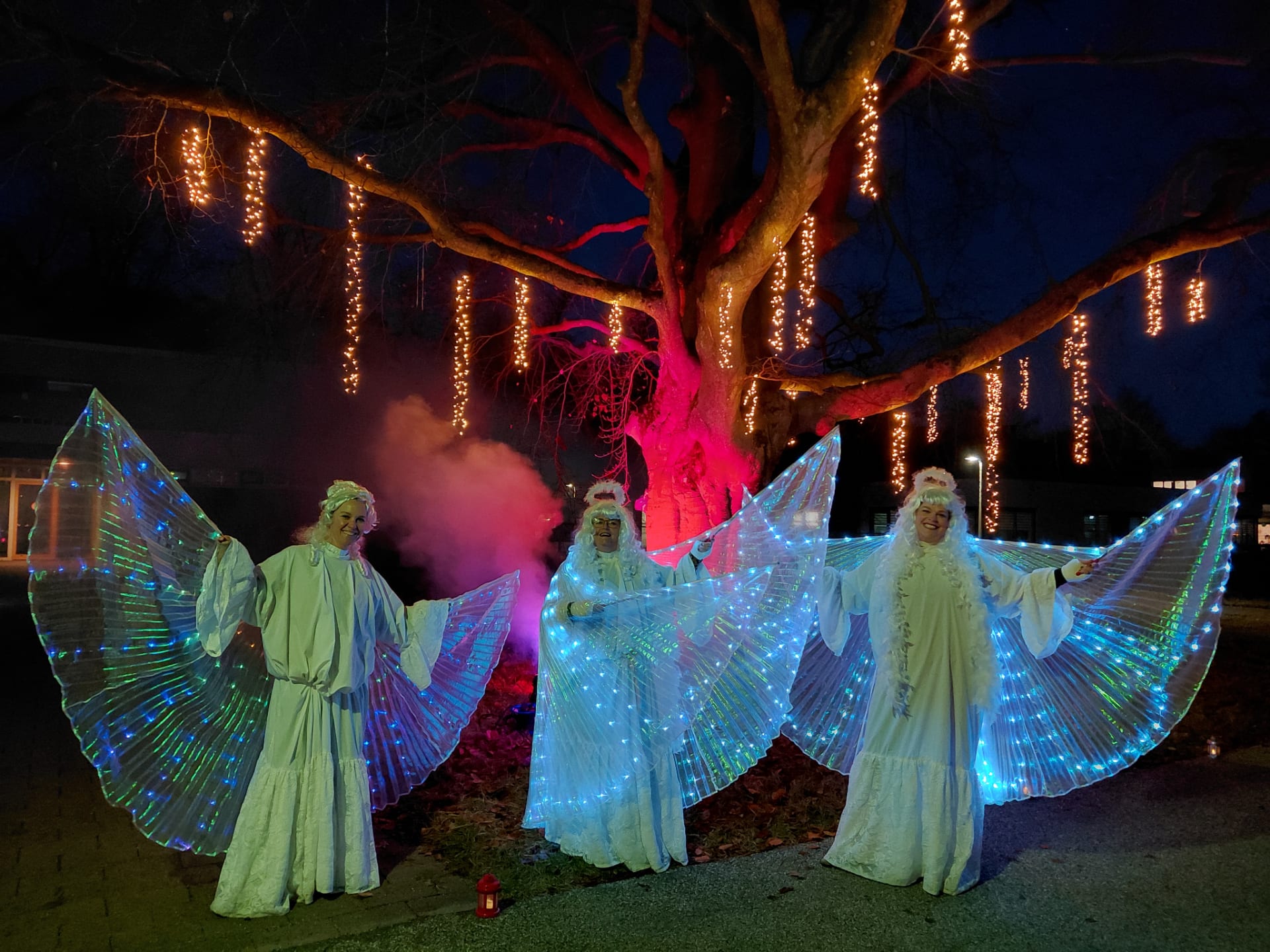 Reinaerde de Heygraeff Woudenberg