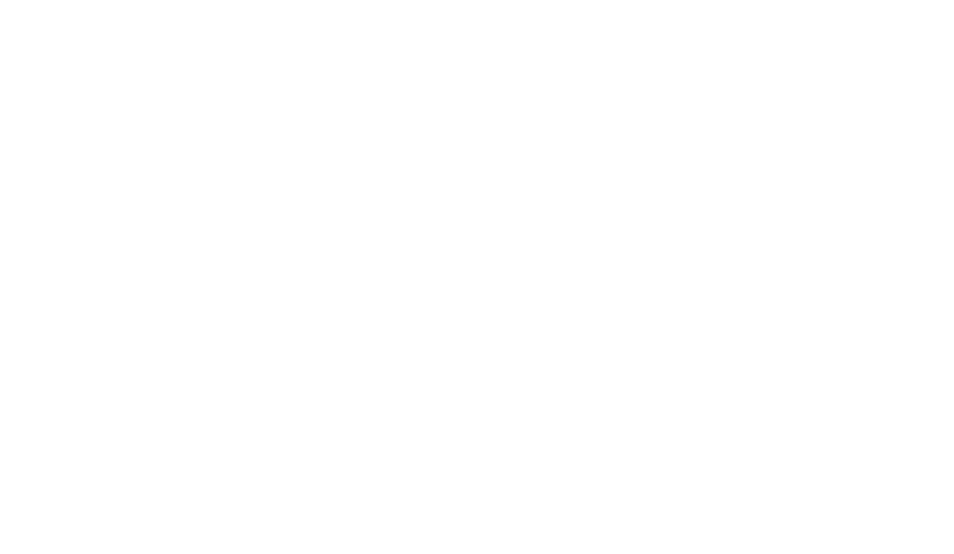 LayerScale Advisory logo