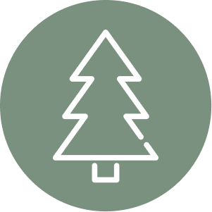 Icon of a pine tree