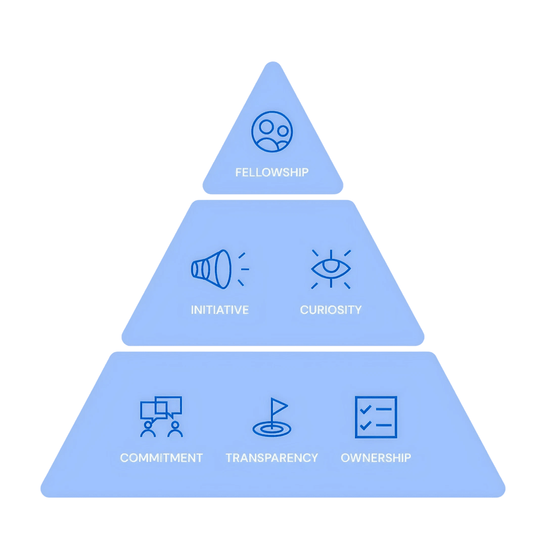 llinformatics values