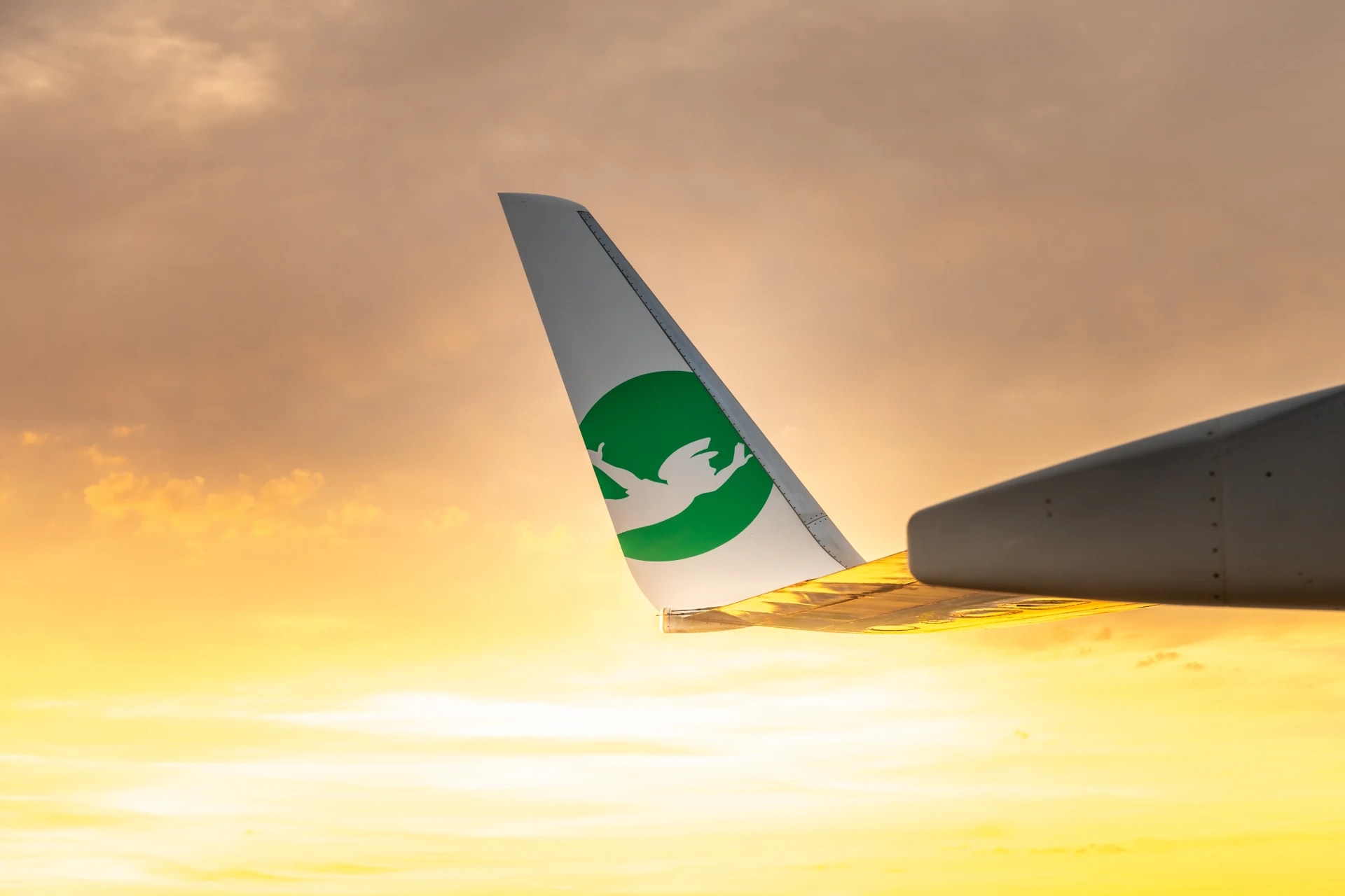 first officer transavia