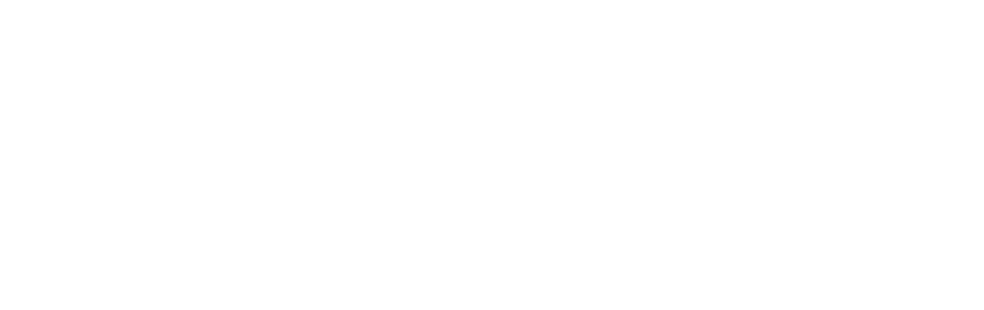 Regeljeverzekering.nl logo