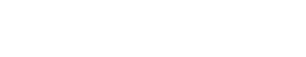 MGI CONSULTANTS LOGO