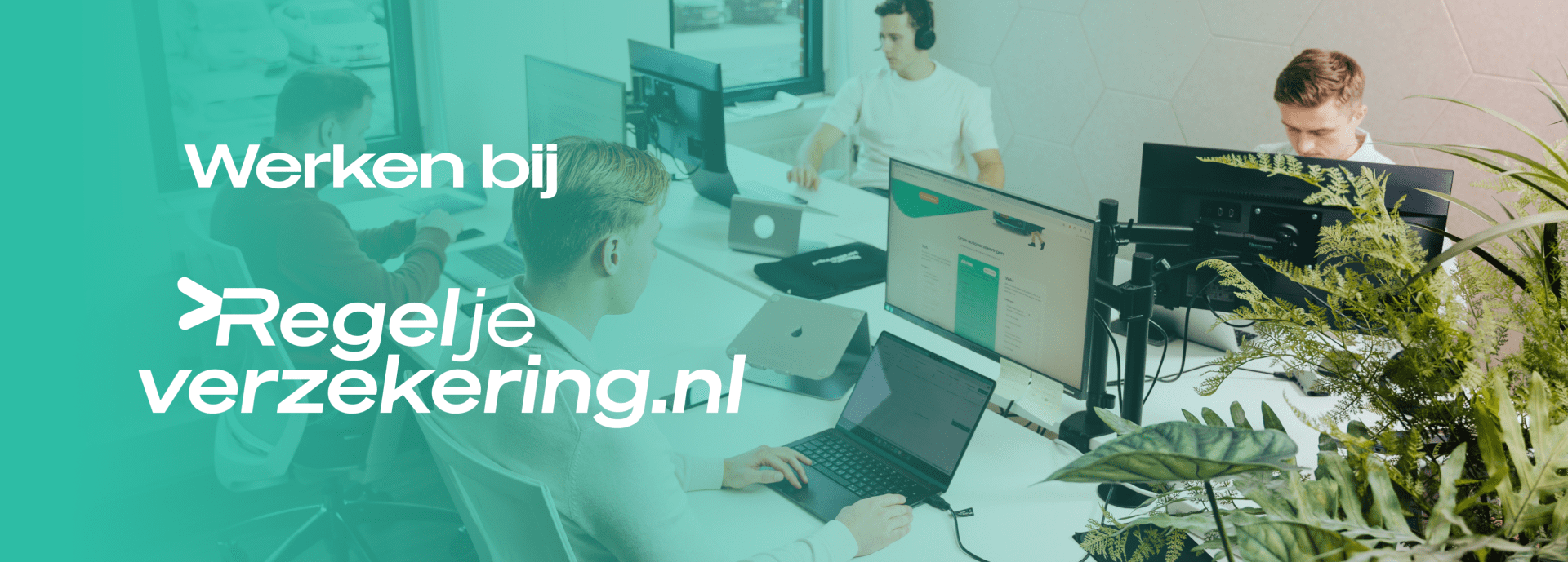 homepagina werkenbij regeljeverzekering.nl