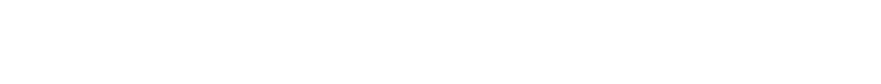 Nord-Ostsee Automobile logo