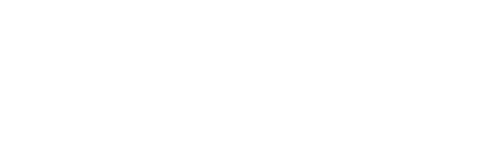 Syrve logo