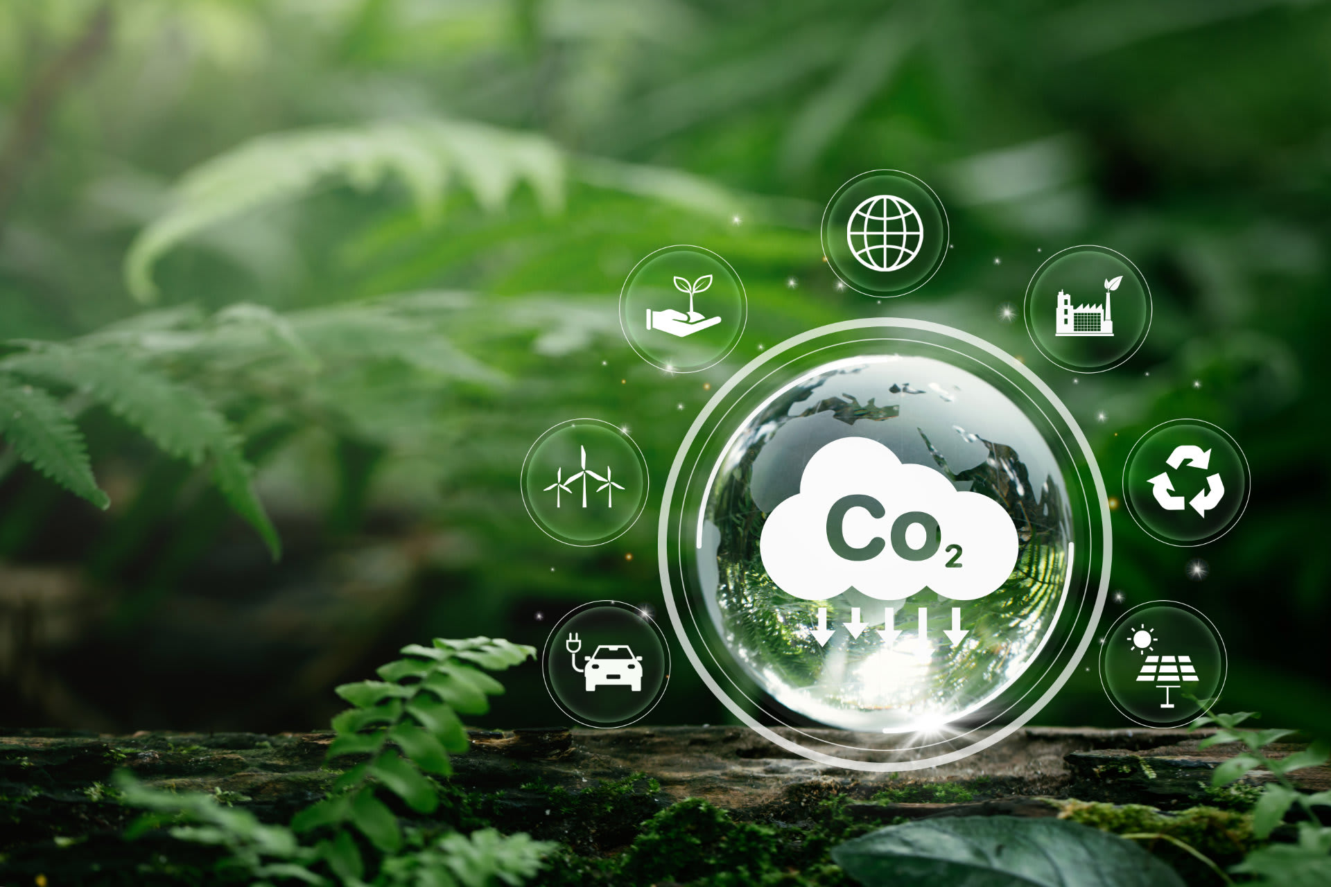 CO2 Positives Unternehmen