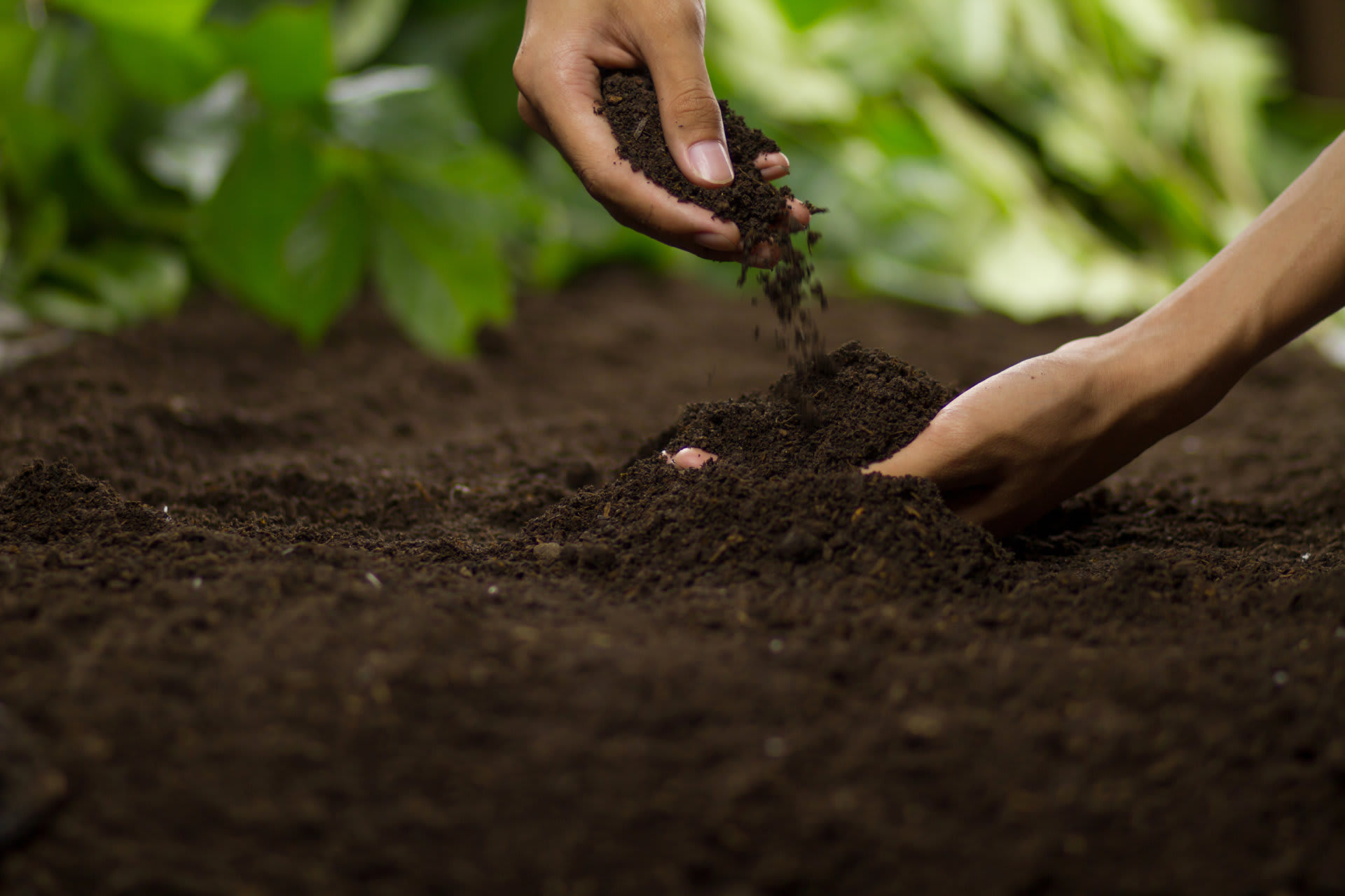 Regenerative Landwirtschaft