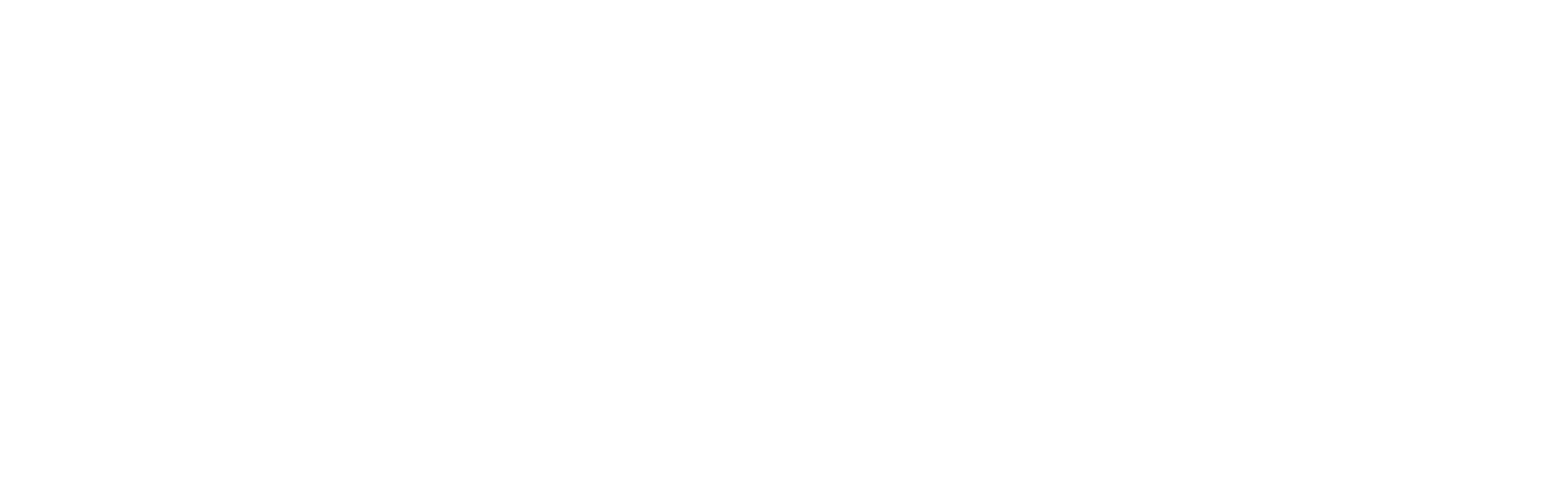 DRS Holding AG logo
