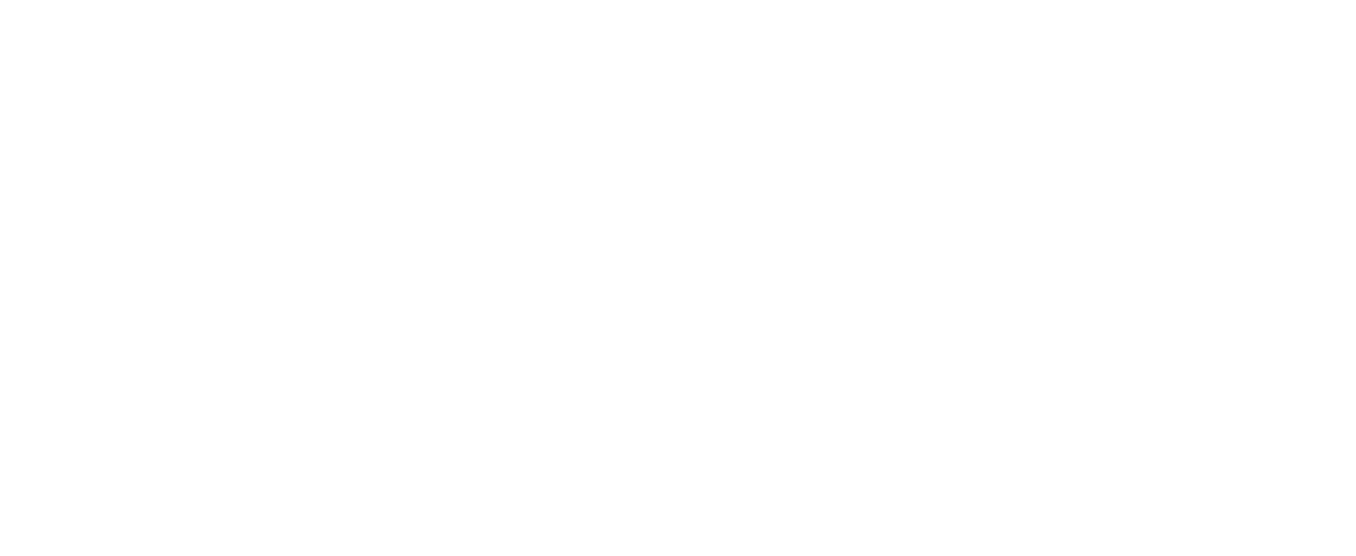 Publink logo