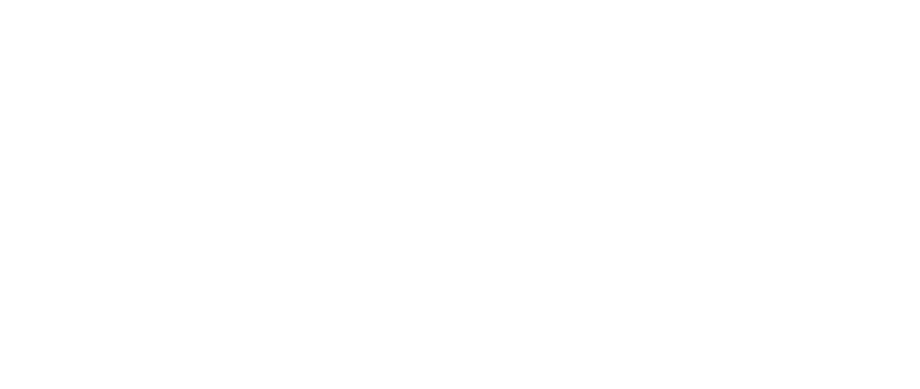 Van Beest B.V. logo
