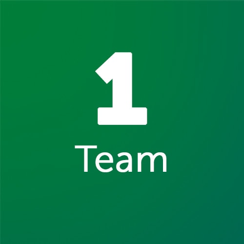 1-team
