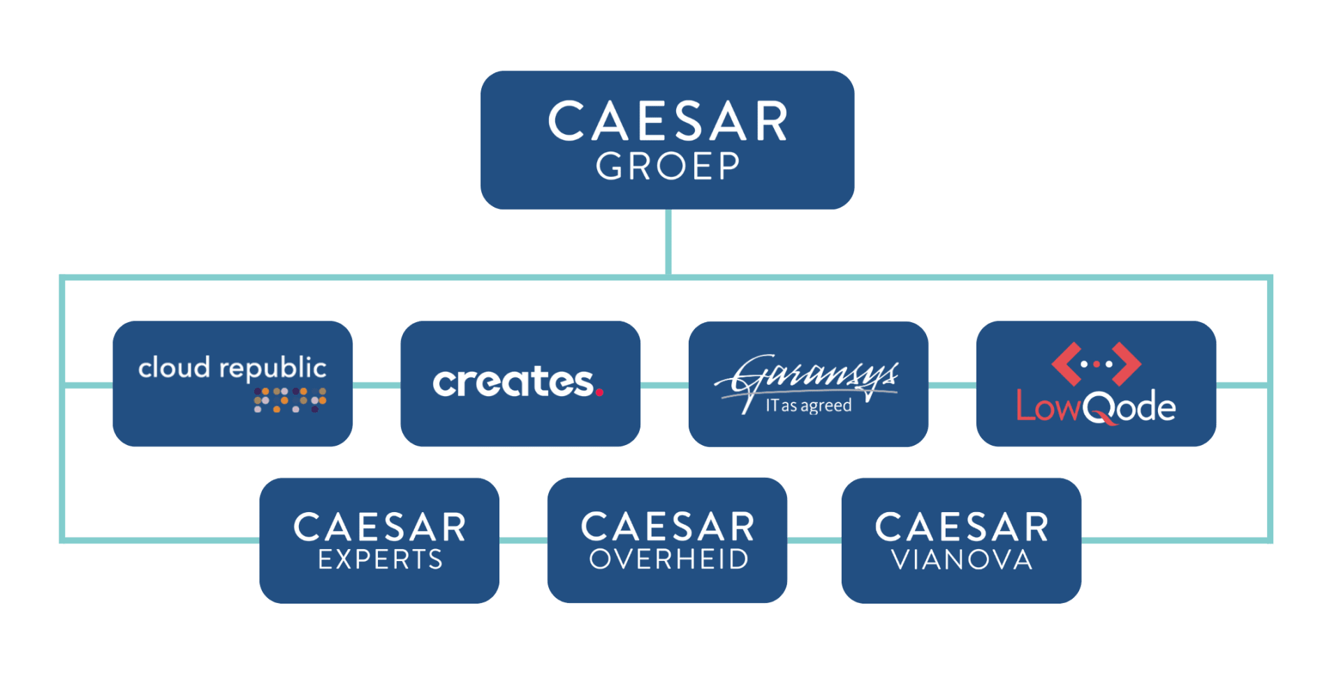Organogram Caesar Groep 2024