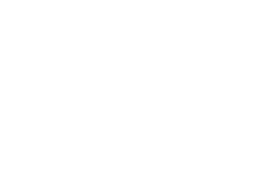 young mountain marketing gmbh logo