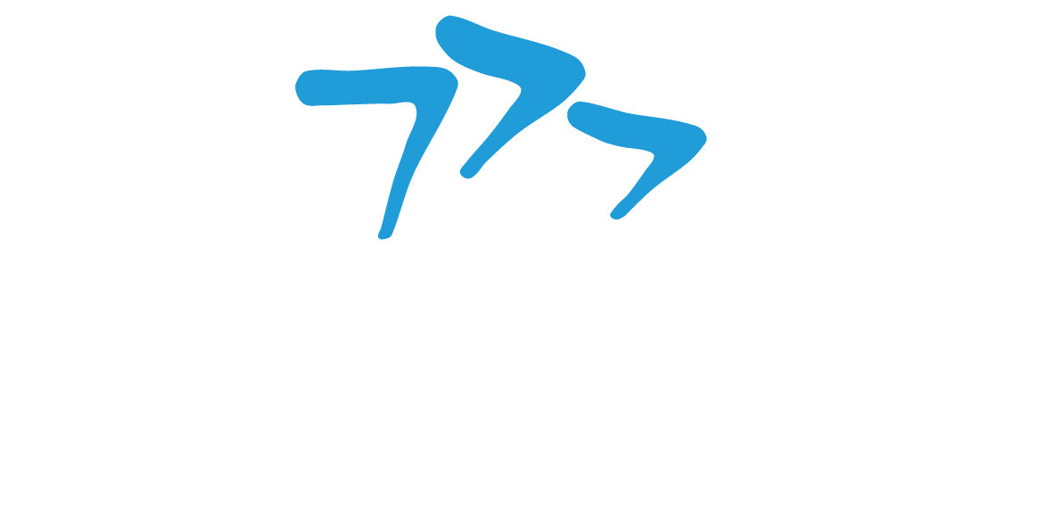 Neptun Freight Services GmbH logo