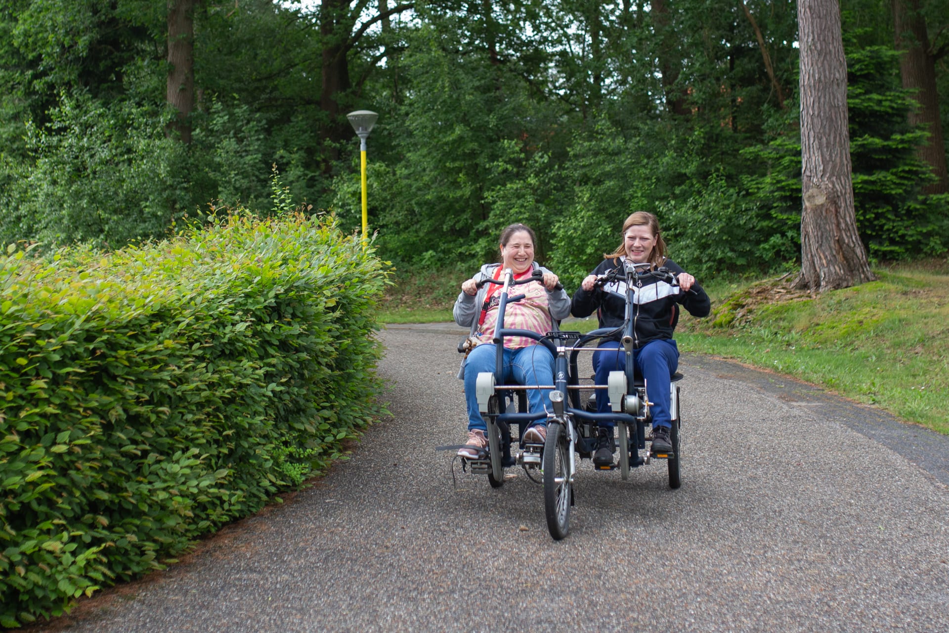 Werken bij Reinaerde De Heygraeff Woudenberg