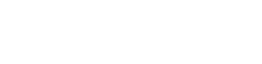 Kleyn Group logo