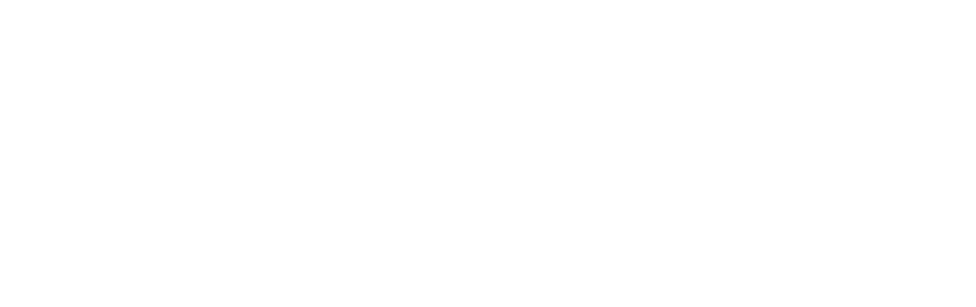 Nenco Food Group logo