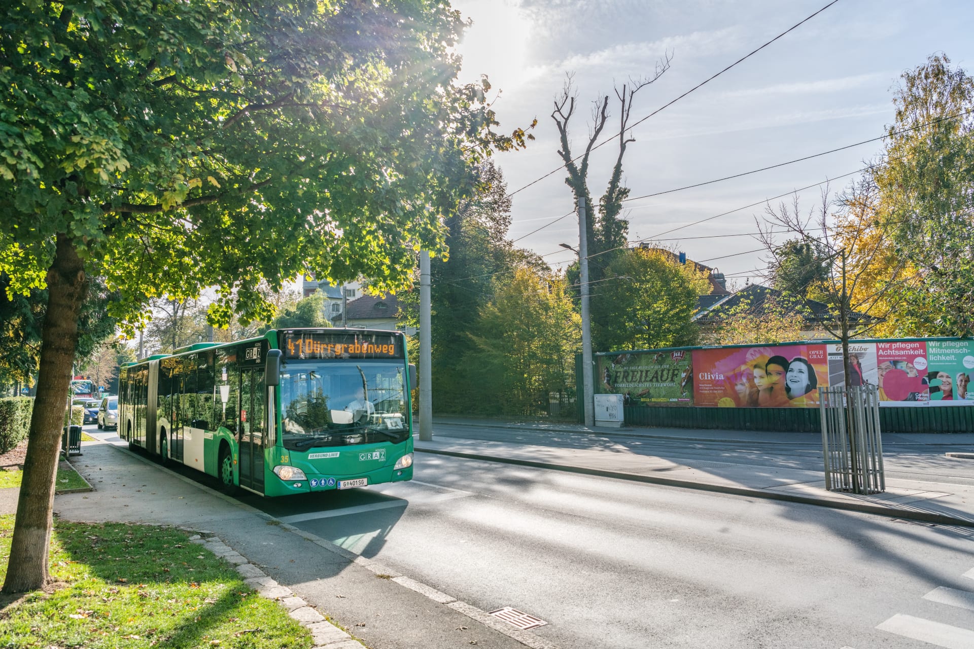 Ein grüner Bus der Graz Linien fährt auf einer baumbestandenen Straße in Richtung '41 Dürrgrabenweg'. Die Sonne scheint durch die Bäume, und am Straßenrand sind Werbeplakate zu sehen.