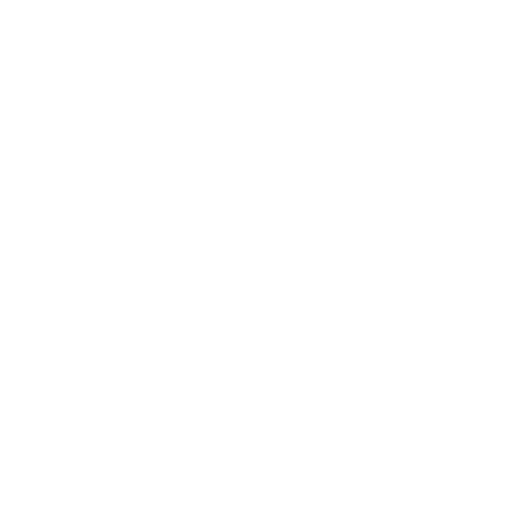 Cornelissen Transport B.V. logo