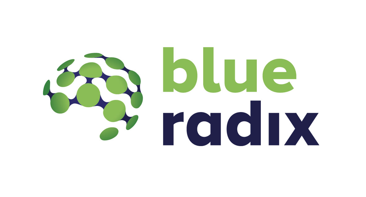 Blue Radix logo