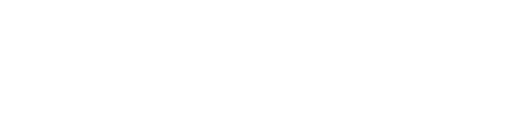 amsepa AG
