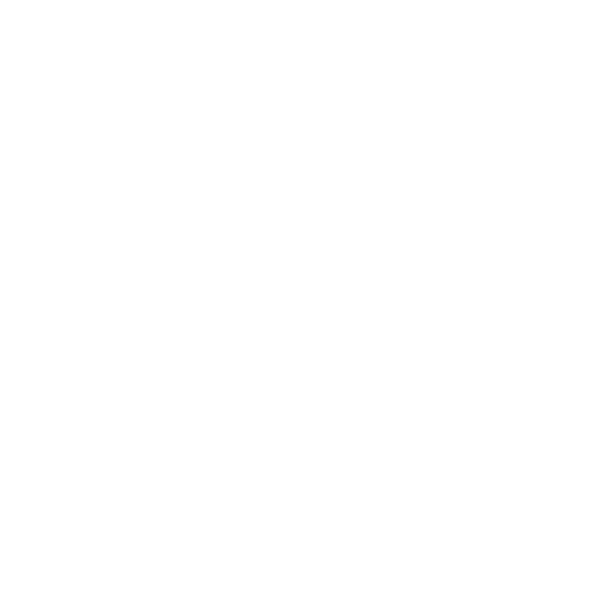 Speekly Logo White Image only 2024