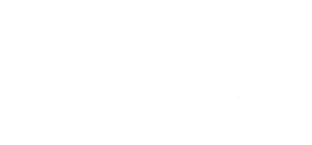 VGN Group logo