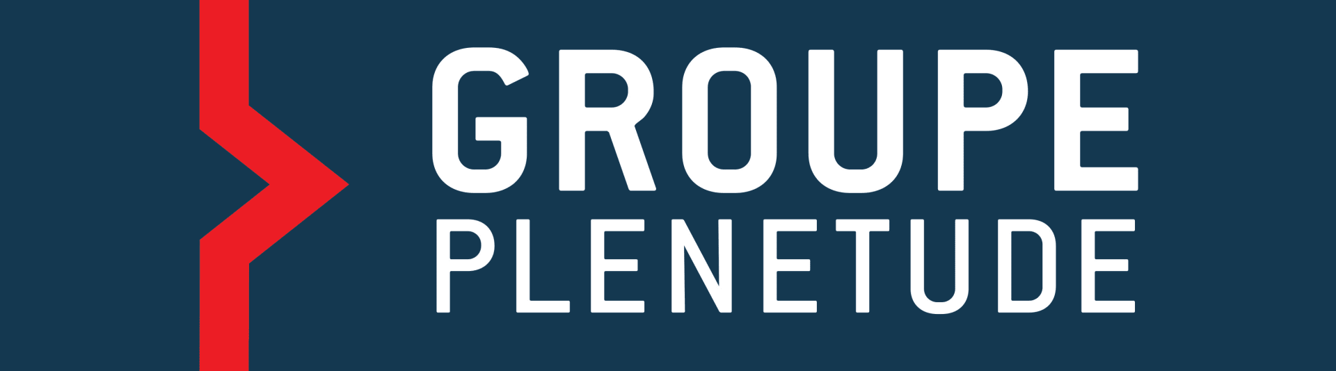 PLENETUDE logo