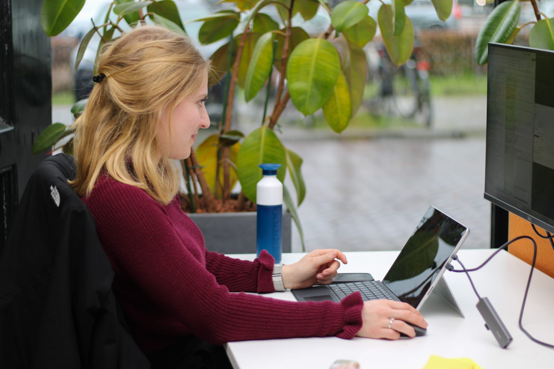 werkstudentschap collega