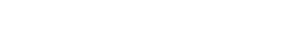 Riverflex logo