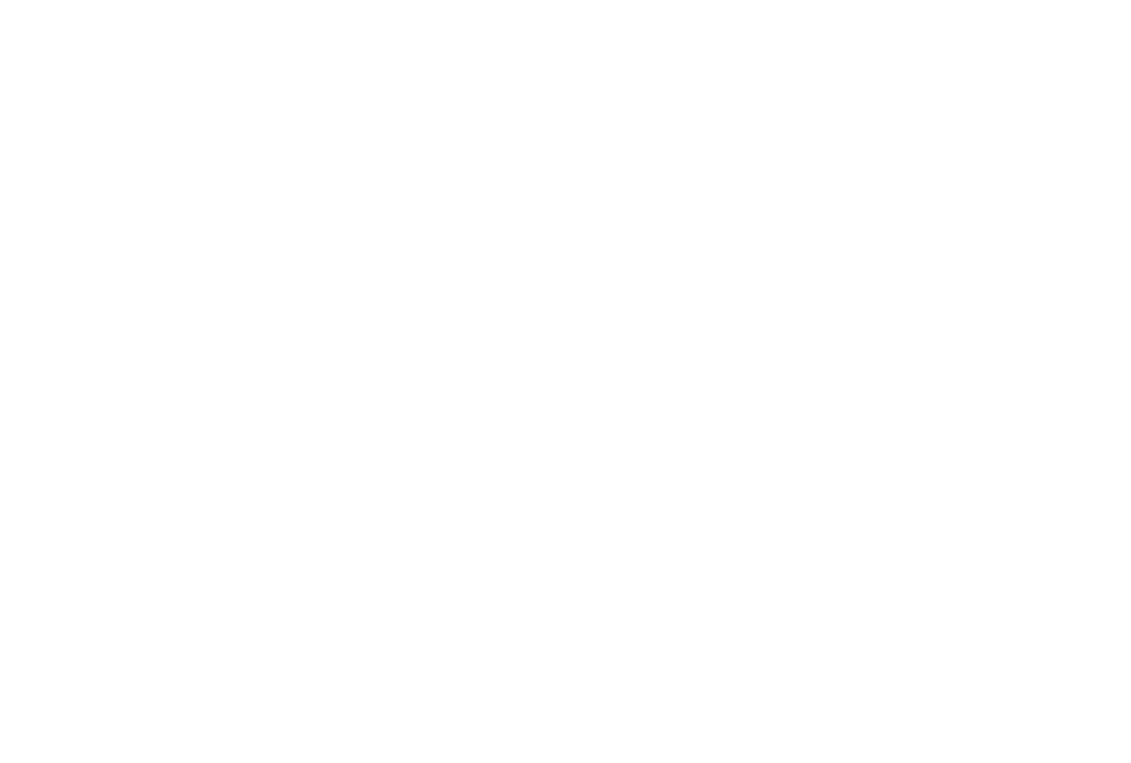 Smileful GmbH logo