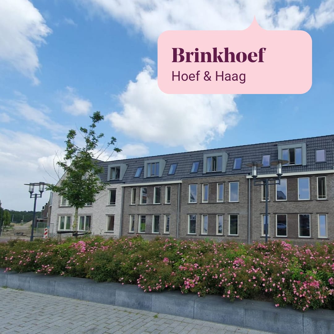 Brinkhoef Hoef & Haag