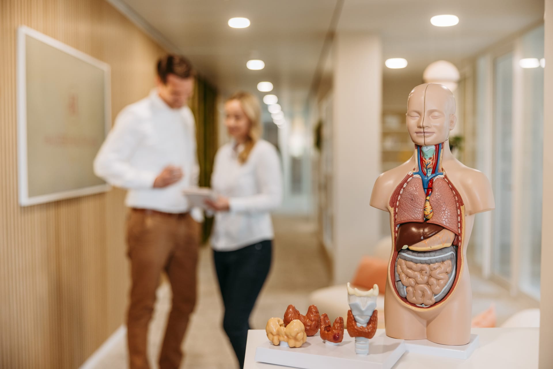 Hauser Healthcare