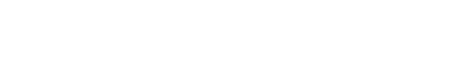 PVcase logo