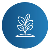 Recherche agronomique