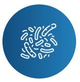Recherche microbiotique