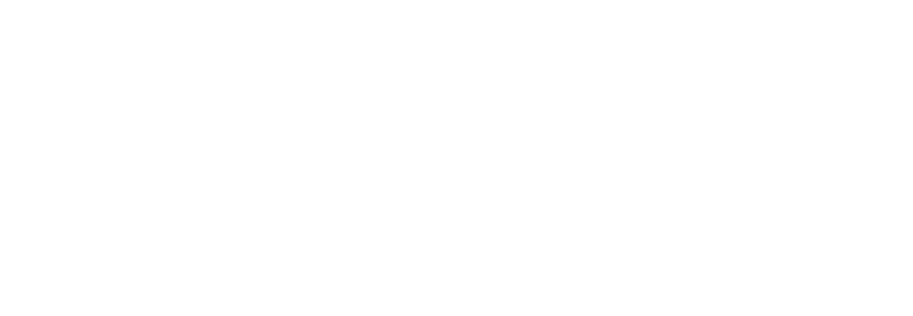 Deep DSG logo