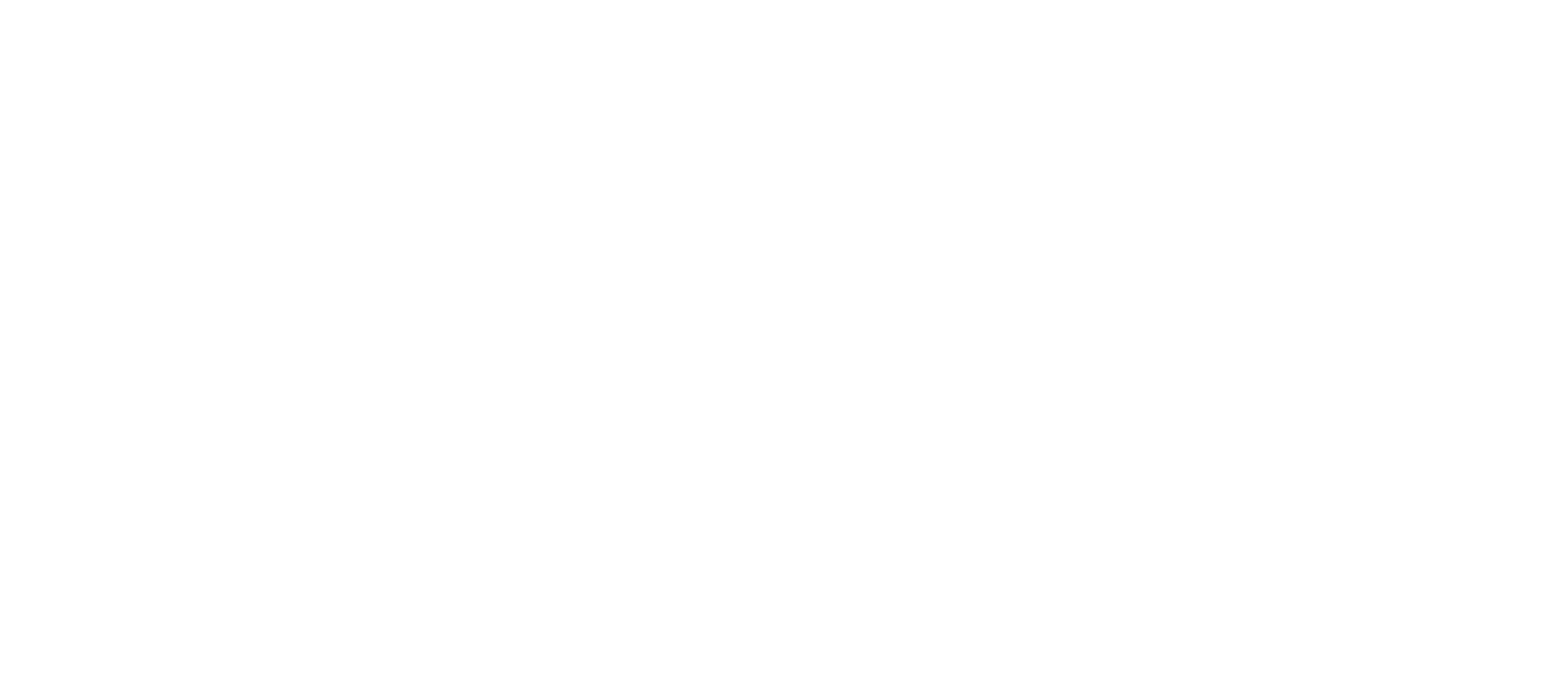 Talpa Network logo