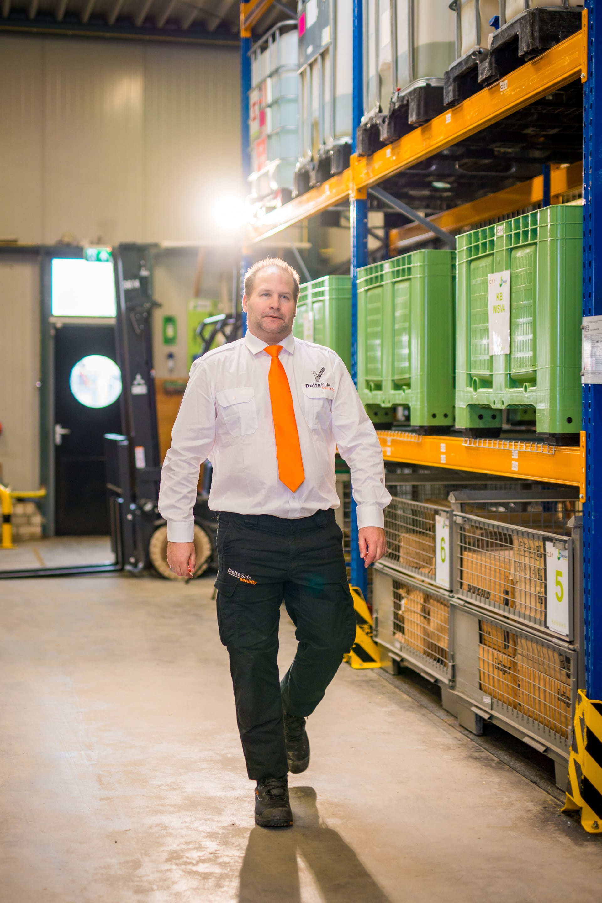 Beveiliger Delta Safe