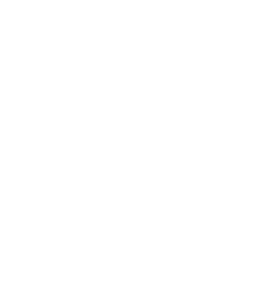 Vion Food Group logo