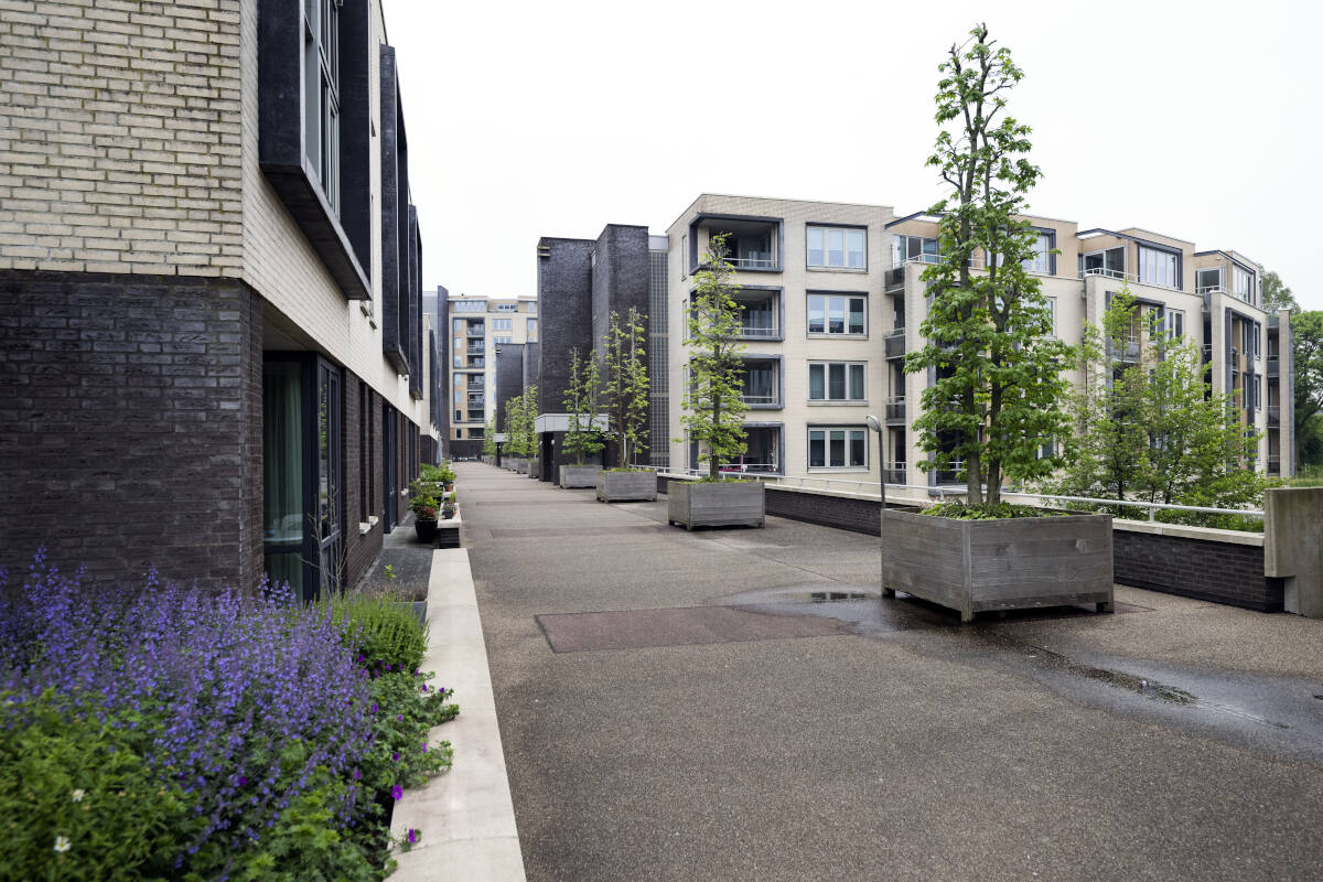 Groenhuysen Champetter