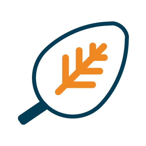 Blatt Icon mit orangener Struktur