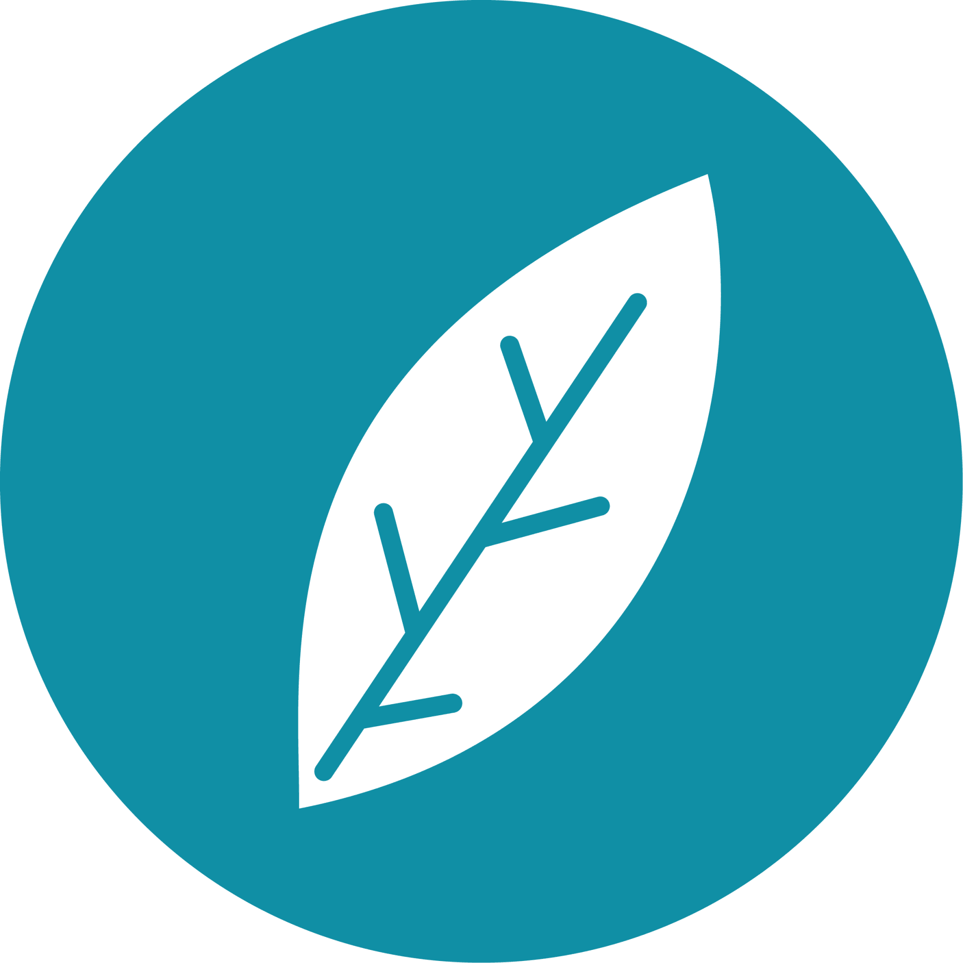 Pilier Environnement