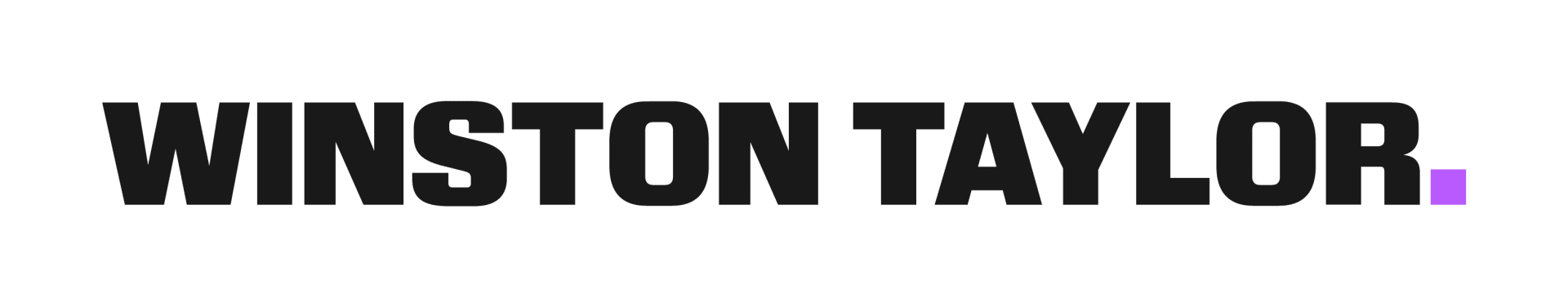 Winston Taylor N.V. logo