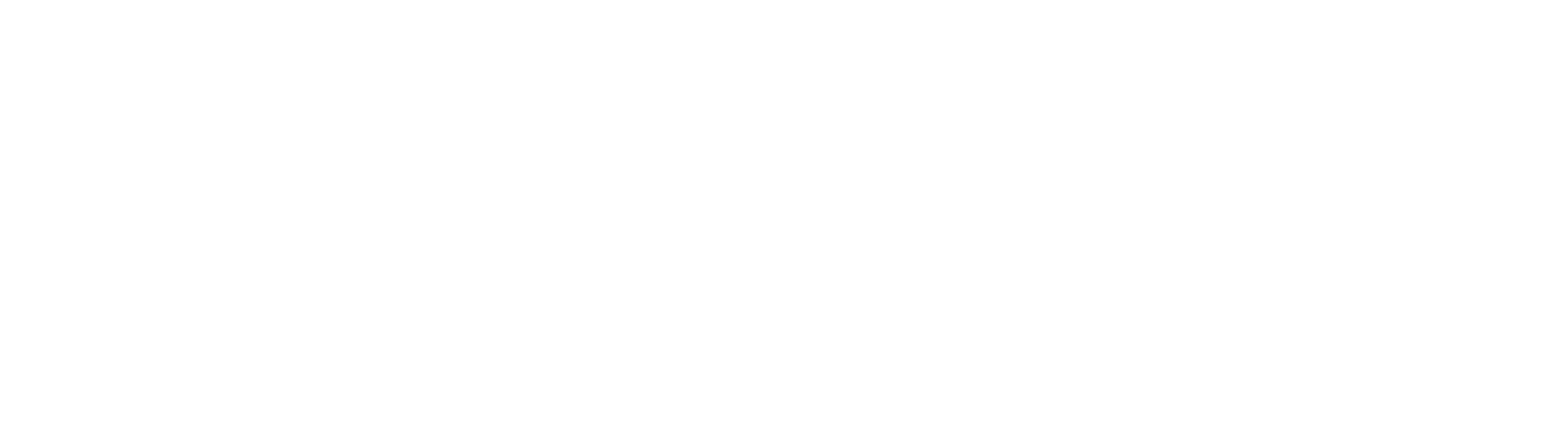 Bureau InformatieDiensten Nederland logo