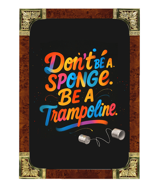 Don't be a sponge. Be a trampoline.