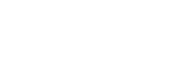 SOLVIN logo