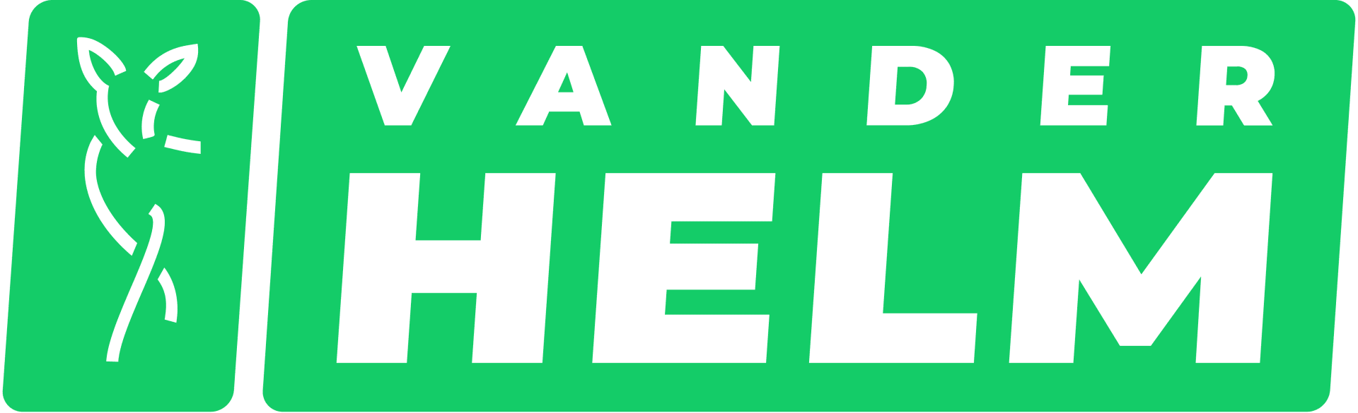 VanderHelm logo