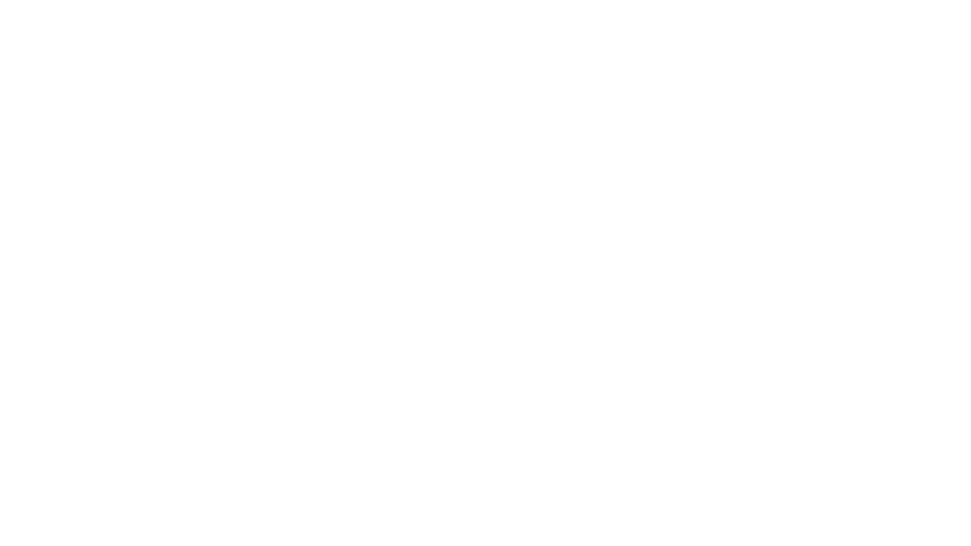 NSI IT Software & Services SA logo